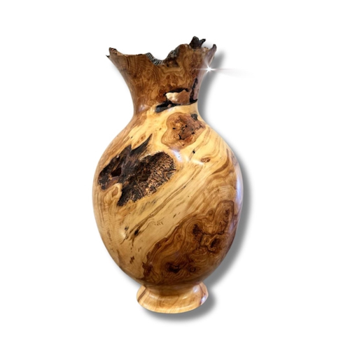 JW-243 Colorado Aspen Burl Hollow Woodturning $1600 at Hunter Wolff Gallery